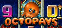 Beneath the murky ocean, lies an epic slot game that will amaze you with its unique features and catching theme. Meet the baby octopus who promises great rewards, especially if you are taken into the Kraken Feature, where a legendary sea monster will provide you with some terrific prizes!