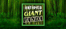 Rewarding and innovative features take slot gaming to the next level on this game, themed with the appealing but endangered Giant Panda species in their lush bamboo forest habitat amid the beautiful Chinese mountains. Untamed - Giant Panda offers multiple ways to build winnings!